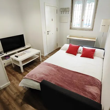Apartment Alojamiento En Santiago De Compostela-galicia *